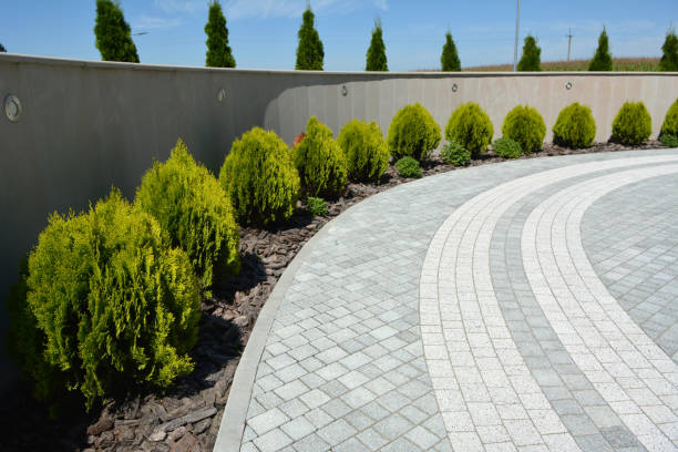 Best Driveway Pavers for Homes  in Lancaster, SC